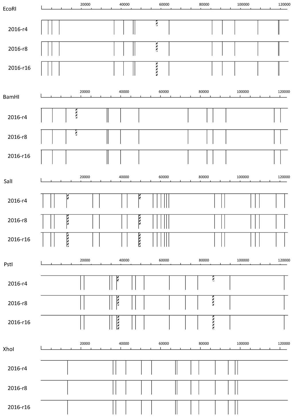 Viruses 06 05135 g001 1024