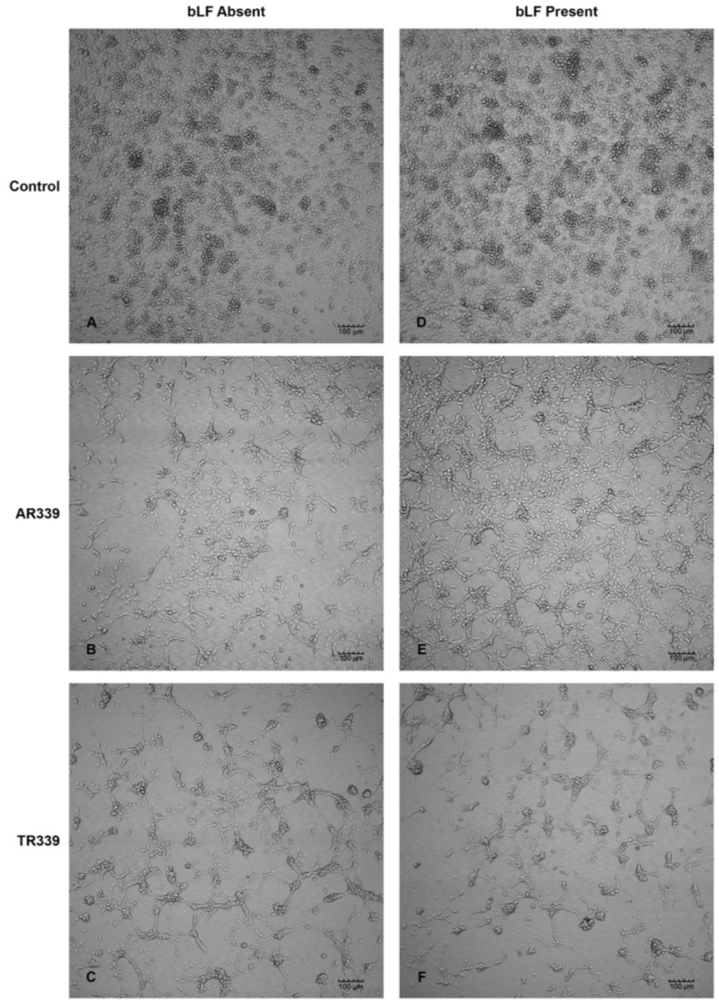 Viruses 06 05182 g004 1024