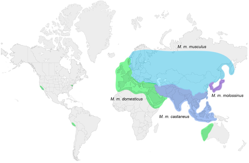 Viruses 07 00001 g002 1024