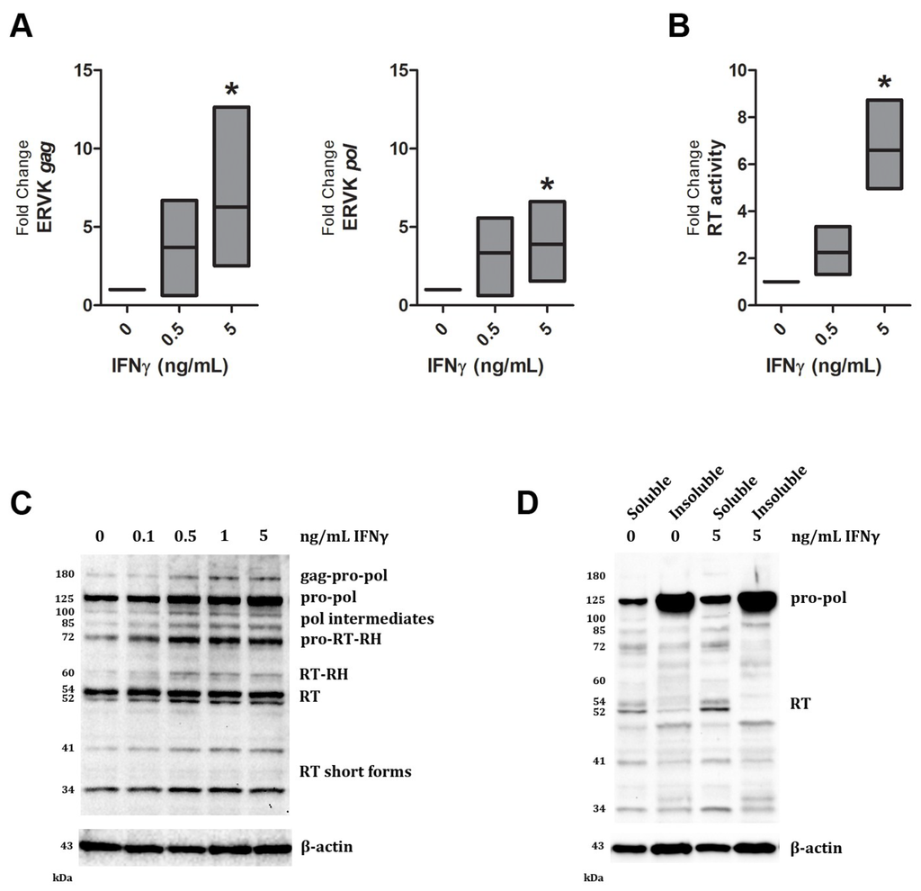 Viruses 07 00320 g001 1024