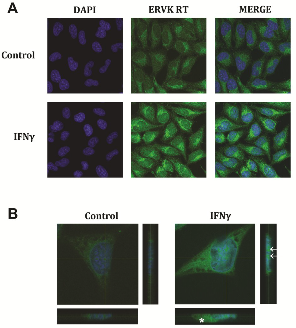 Viruses 07 00320 g002 1024