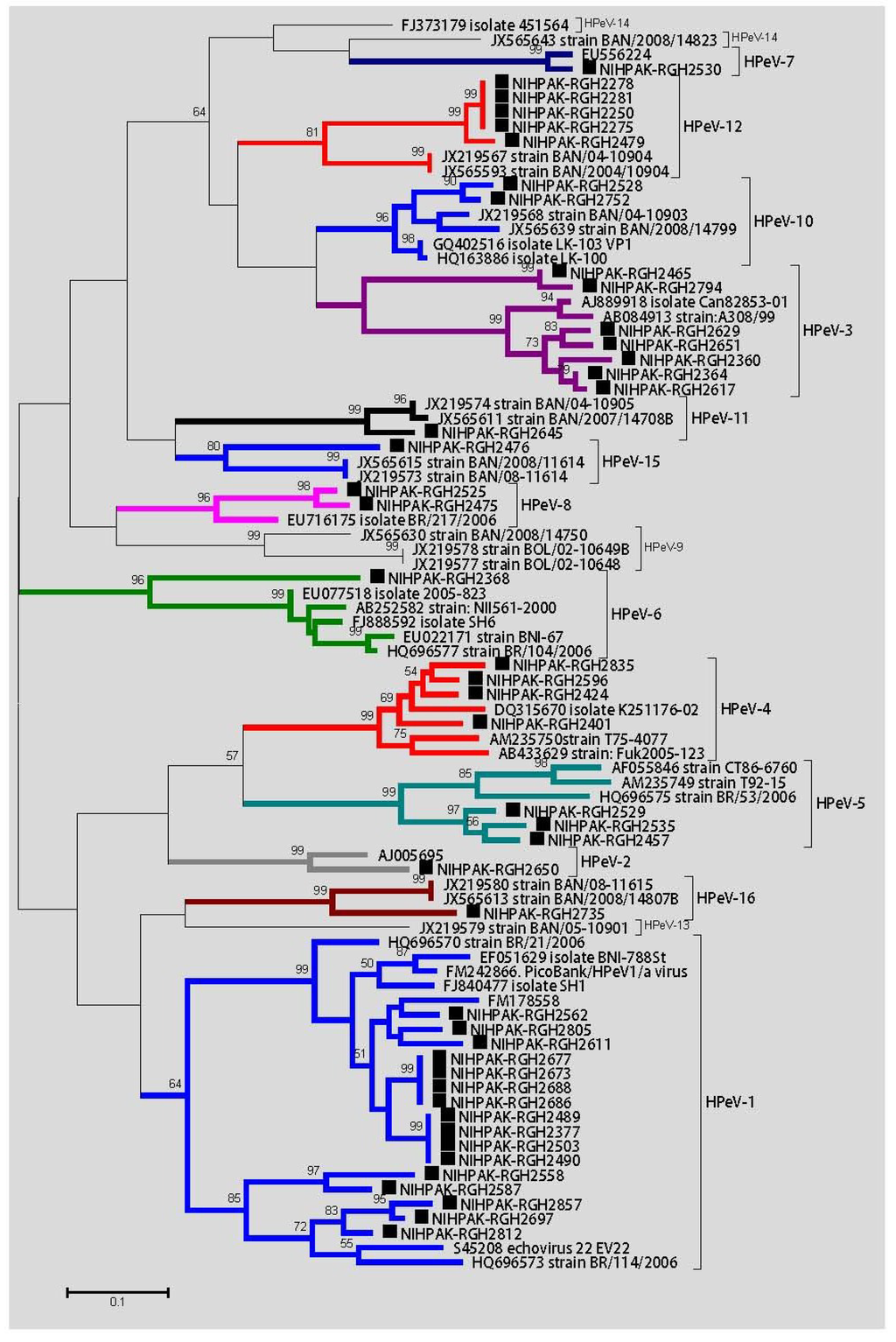 Viruses 07 00378 g003 1024