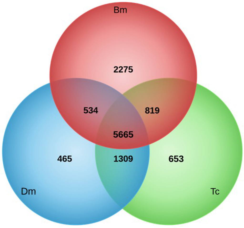 Viruses 07 00456 g004 1024