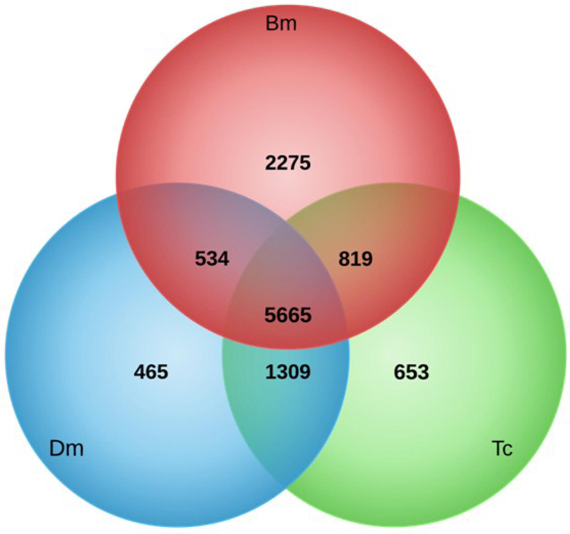 Viruses 07 00456 g004