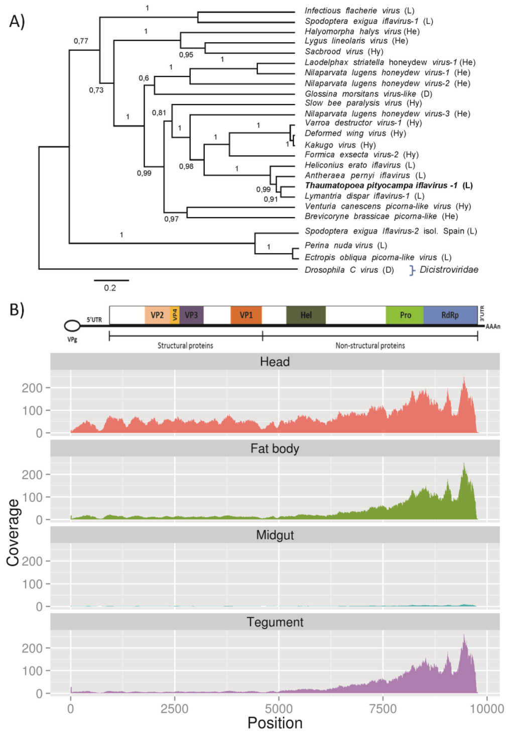 Viruses 07 00456 g006 1024