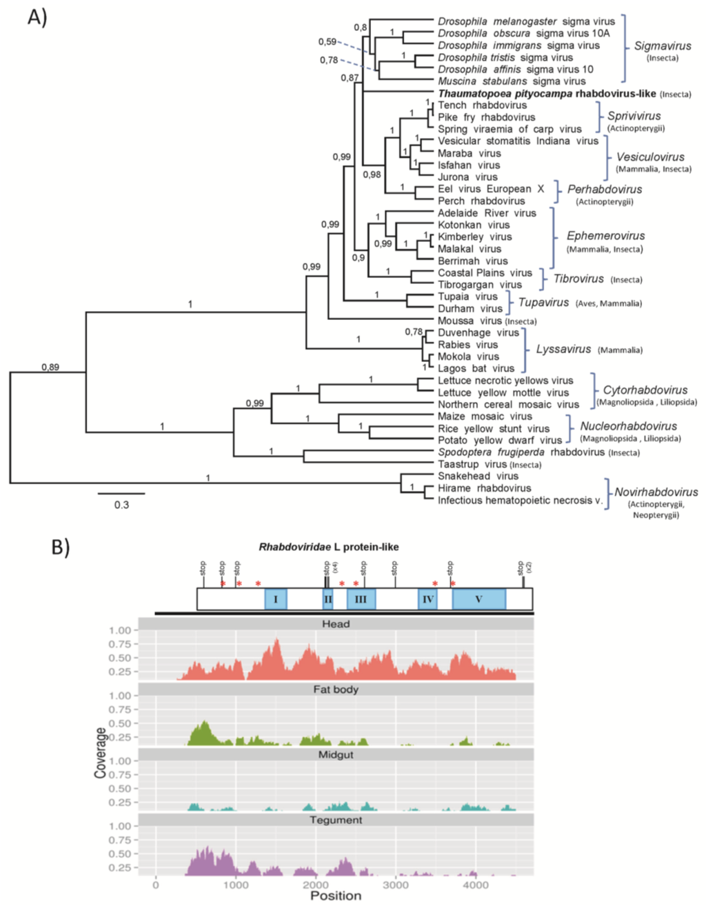 Viruses 07 00456 g007 1024