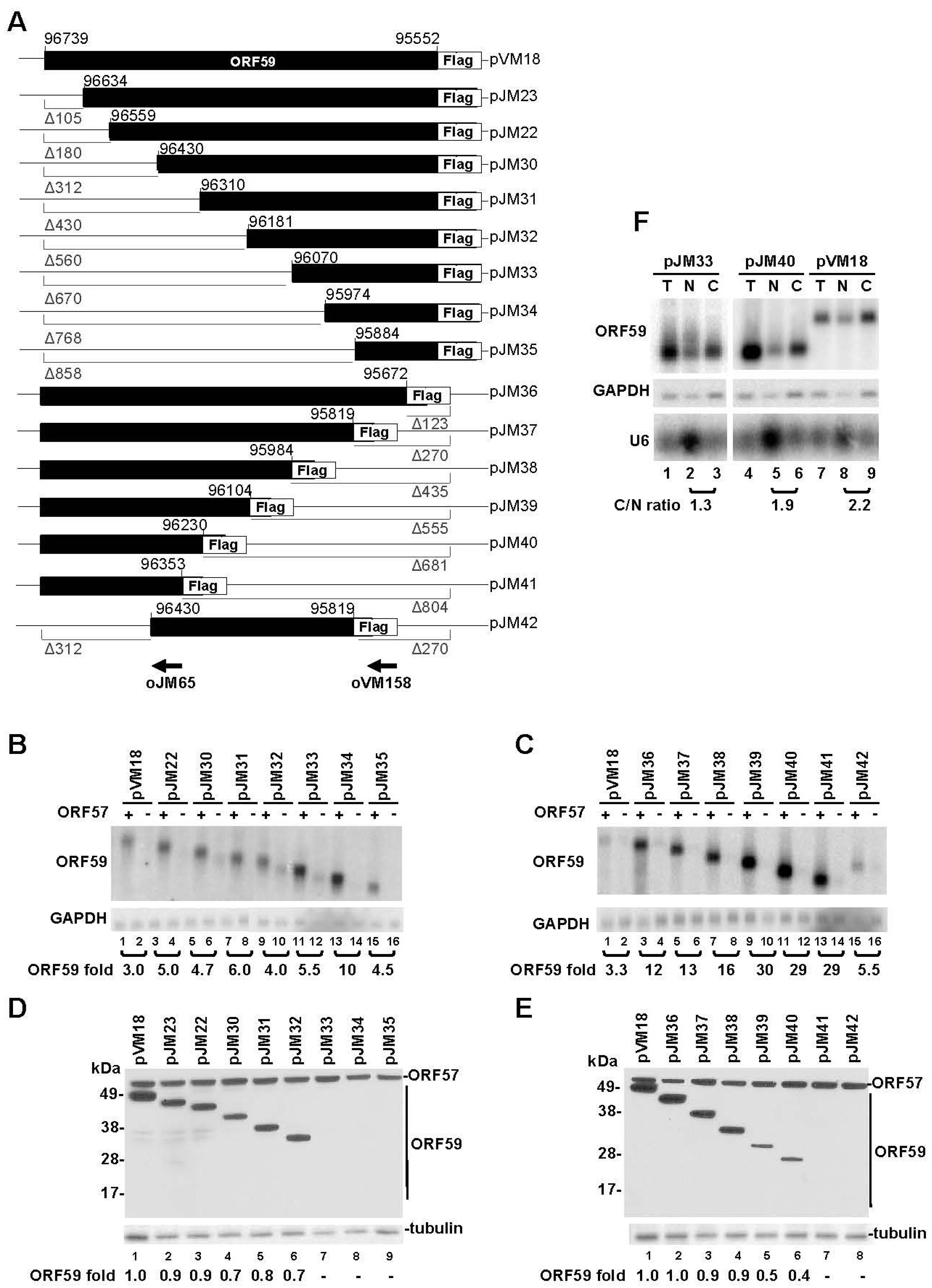 Viruses 07 00496 g001