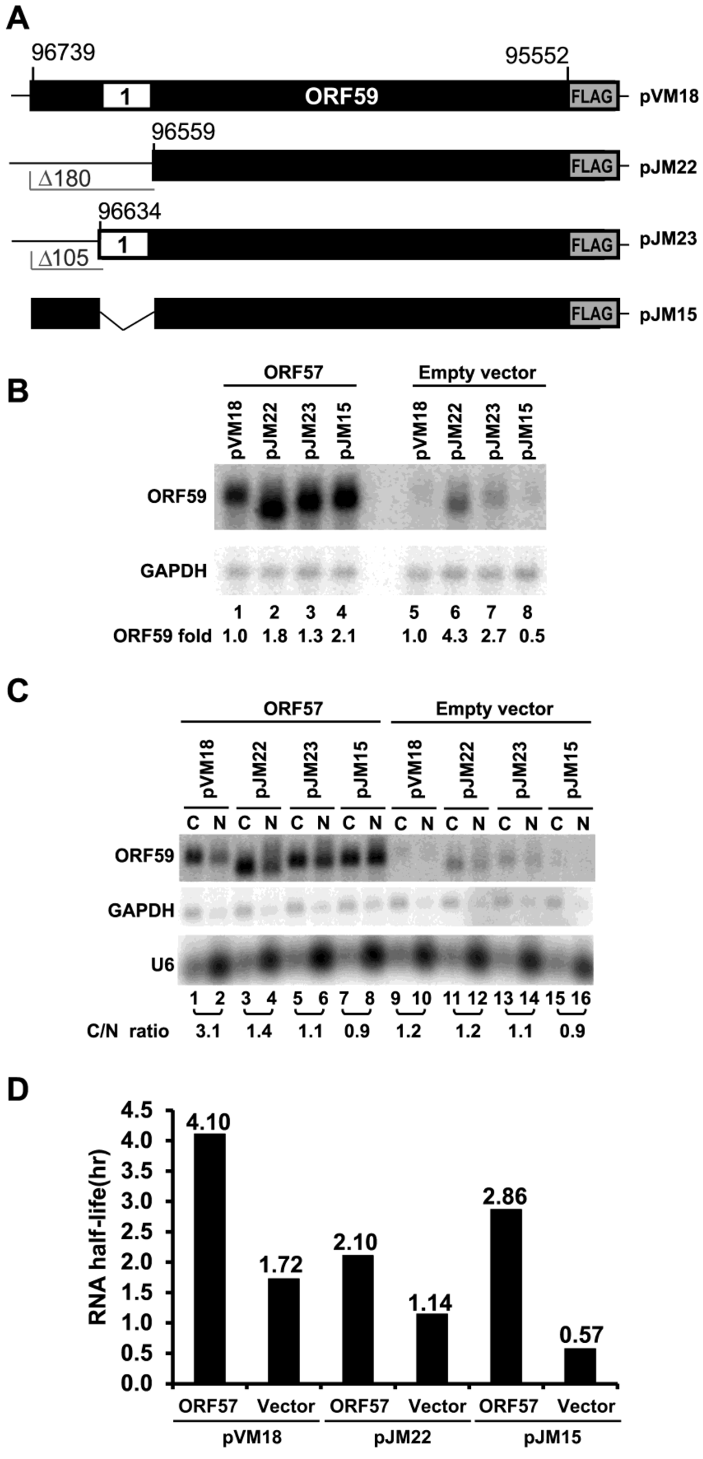Viruses 07 00496 g003 1024