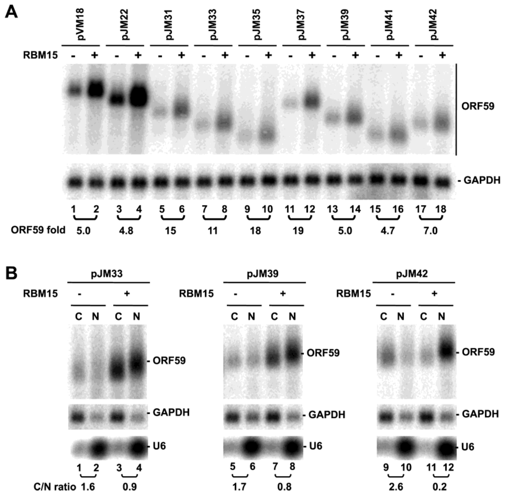 Viruses 07 00496 g005 1024