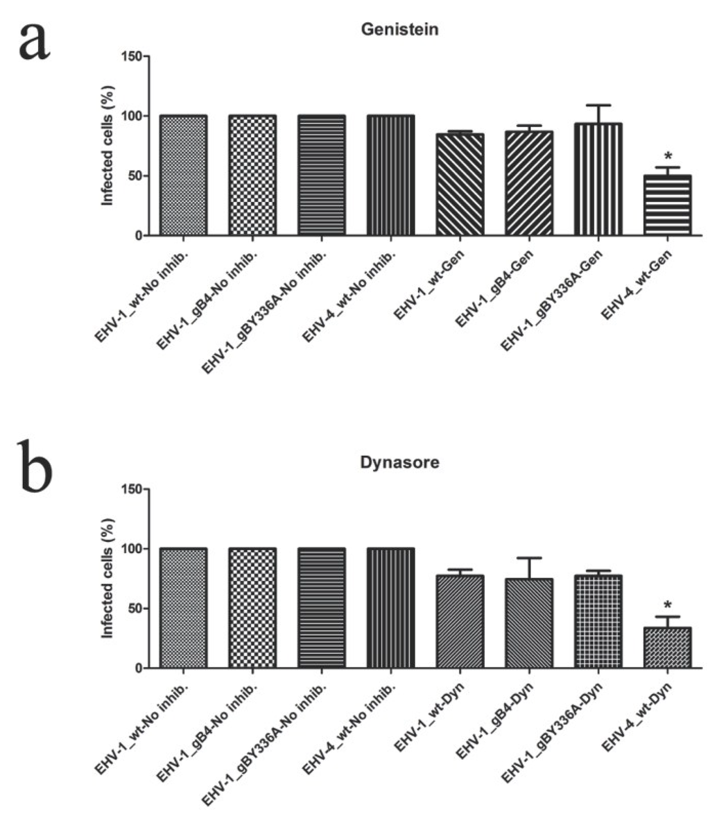 Viruses 07 00522 g008a 1024