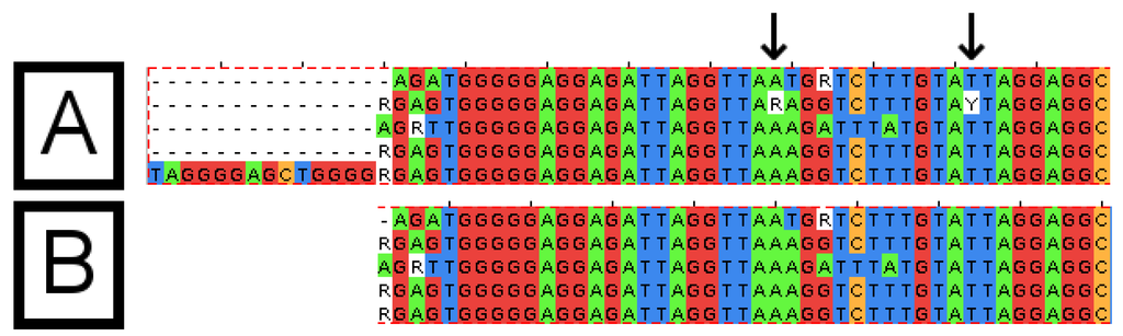 Viruses 07 00781 g004 1024