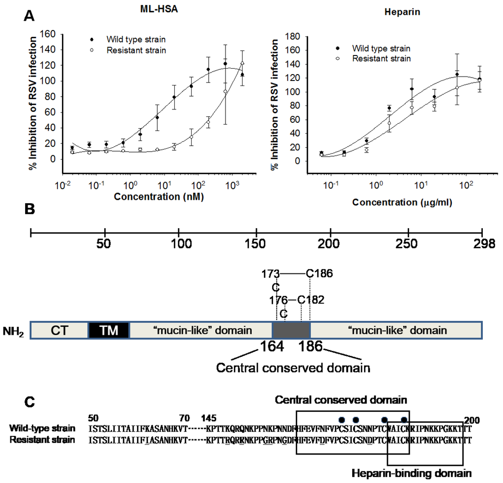 Viruses 07 00798 g007 1024