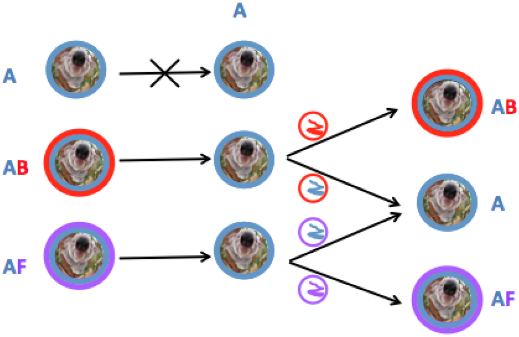 Viruses 07 01258 g006 1024