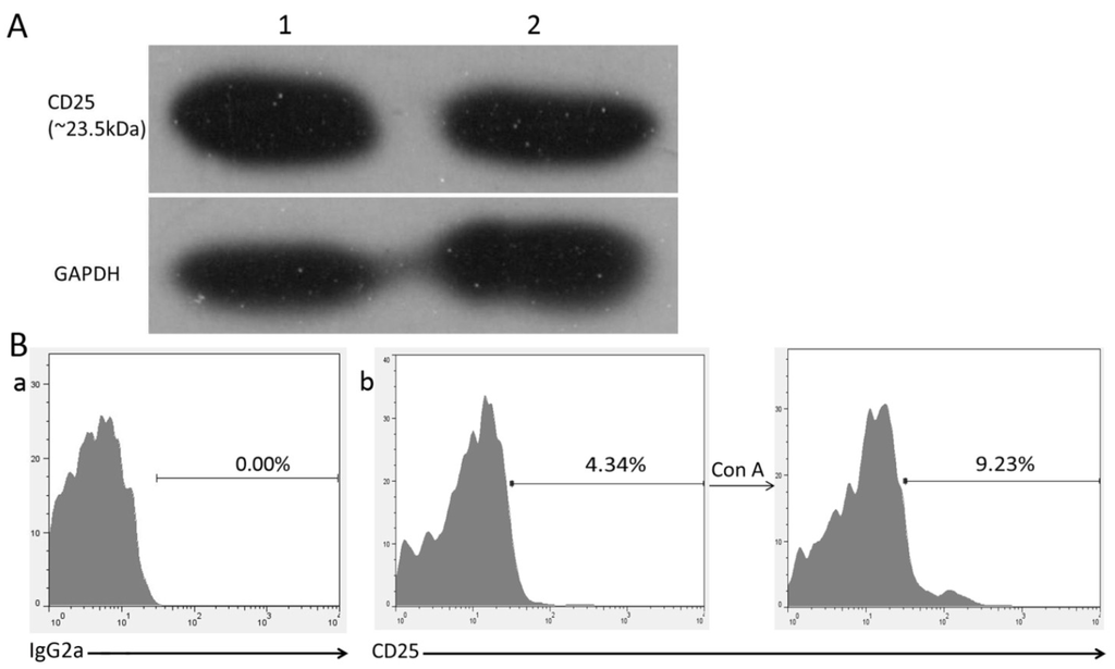 Viruses 07 01357 g001 1024
