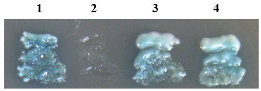 Viruses 07 01492 g001 1024