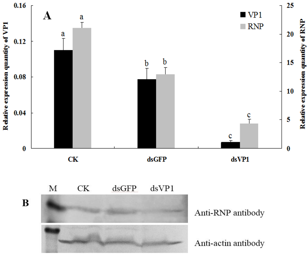 Viruses 07 01492 g003 1024