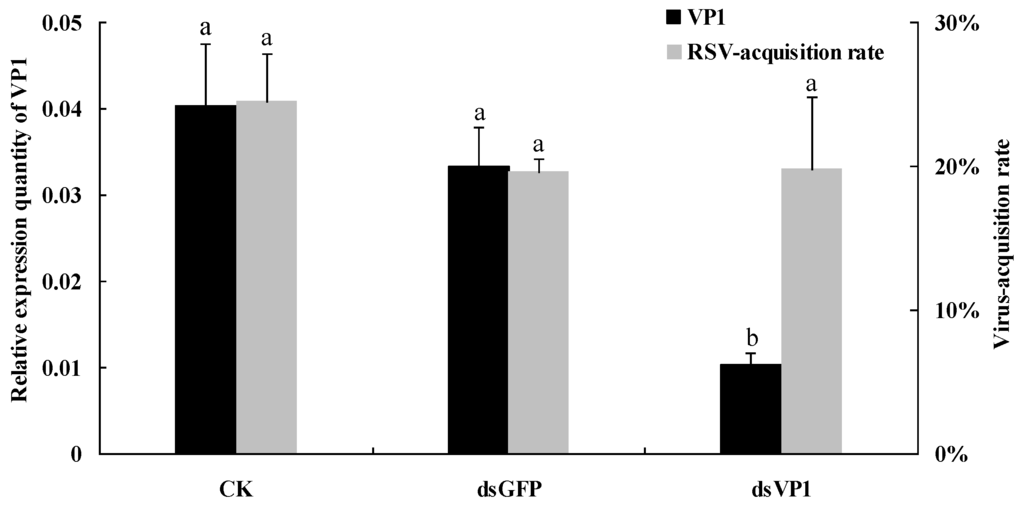 Viruses 07 01492 g004 1024