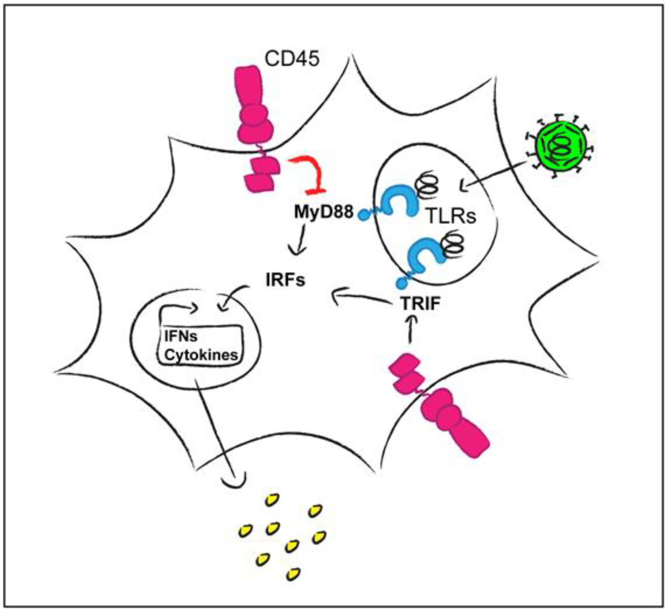 Viruses 07 01540 g002
