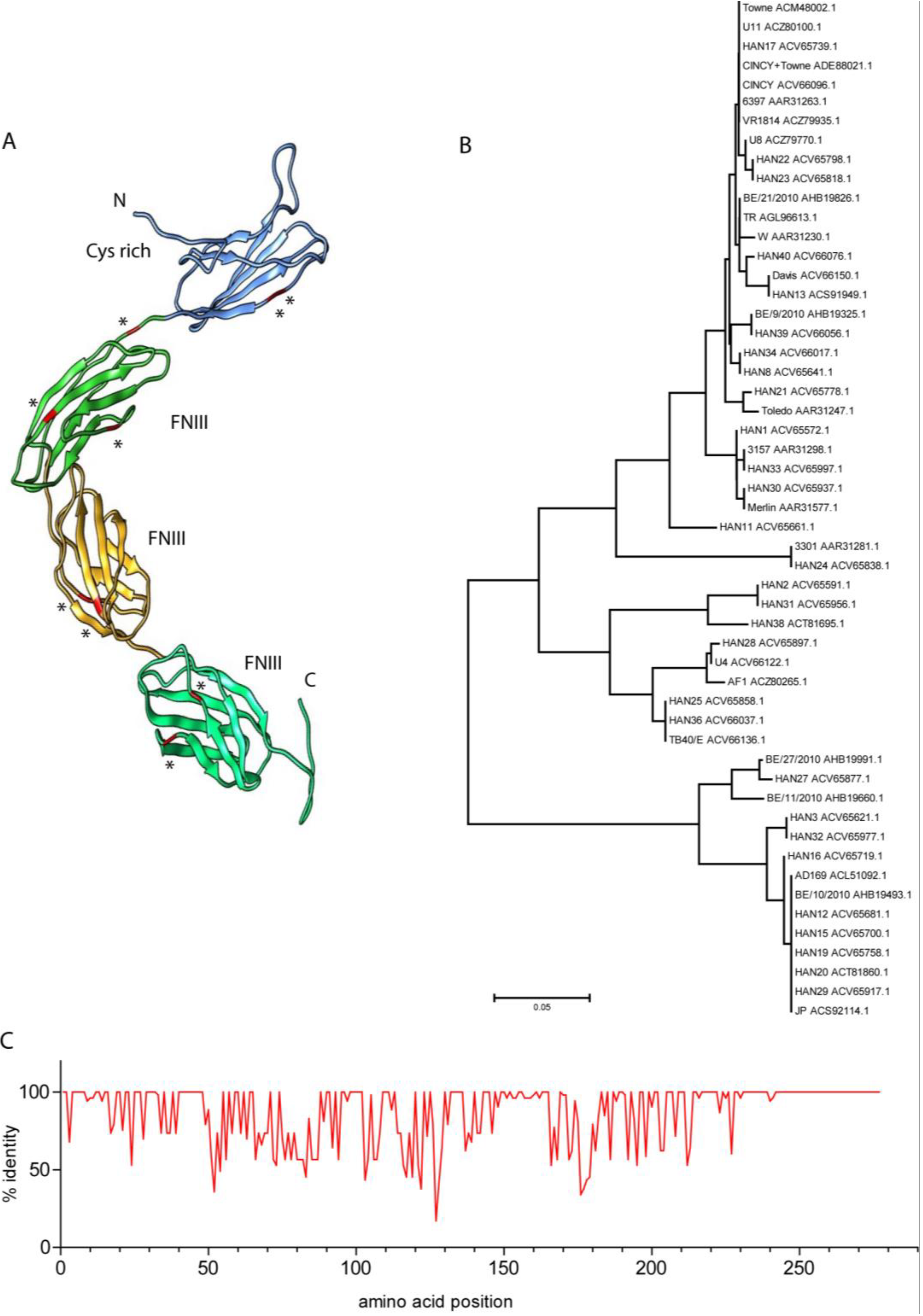 Viruses 07 01540 g003