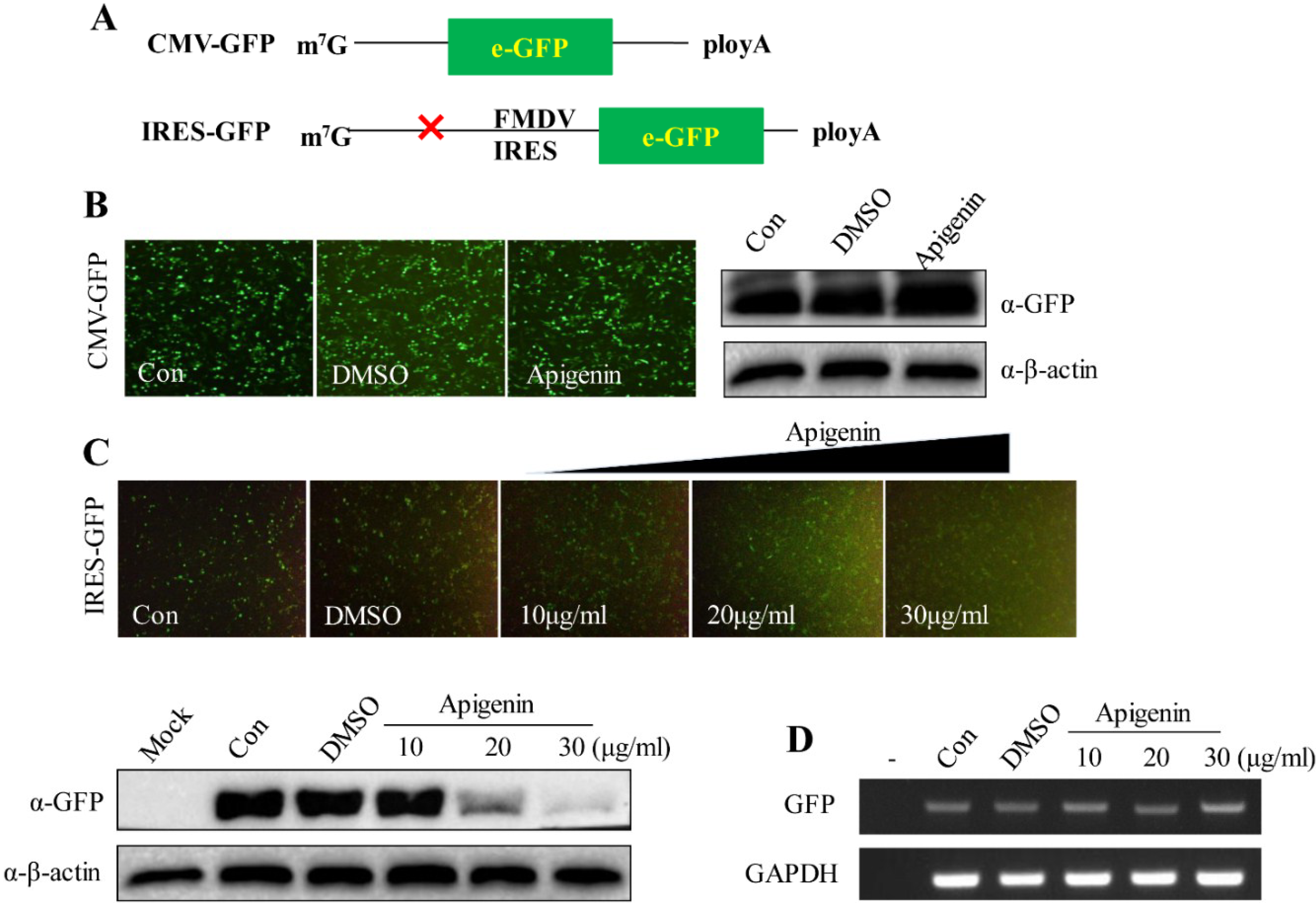 Viruses 07 01613 g004