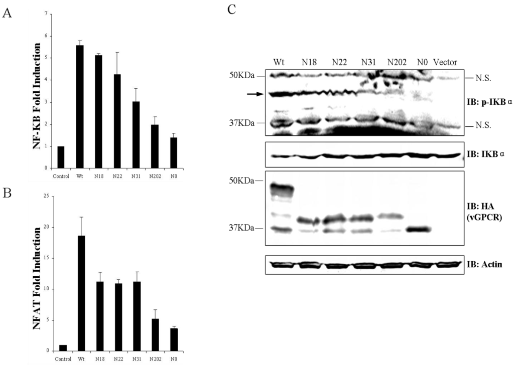 Viruses 07 01627 g003 1024