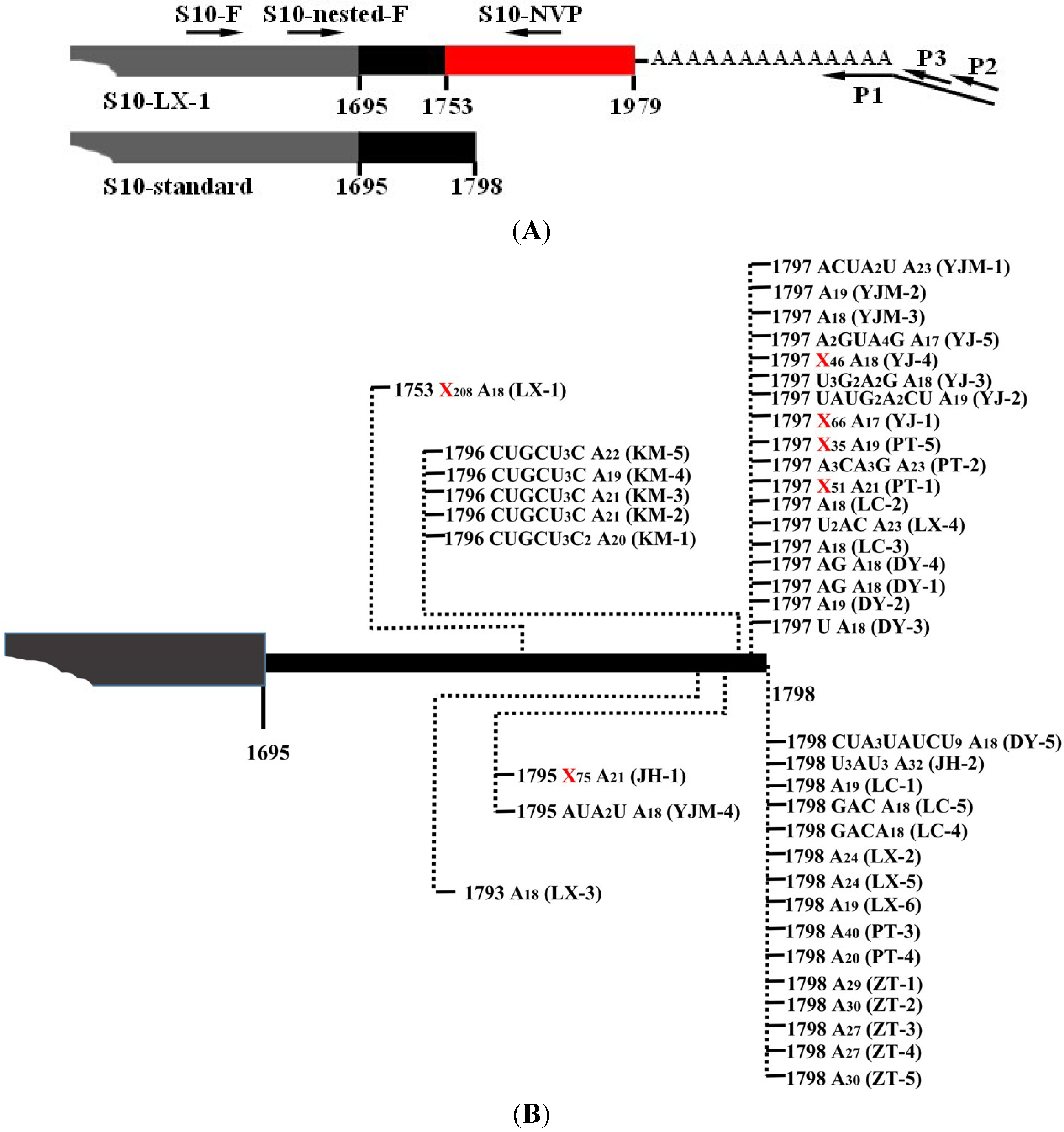 Viruses 07 01642 g001