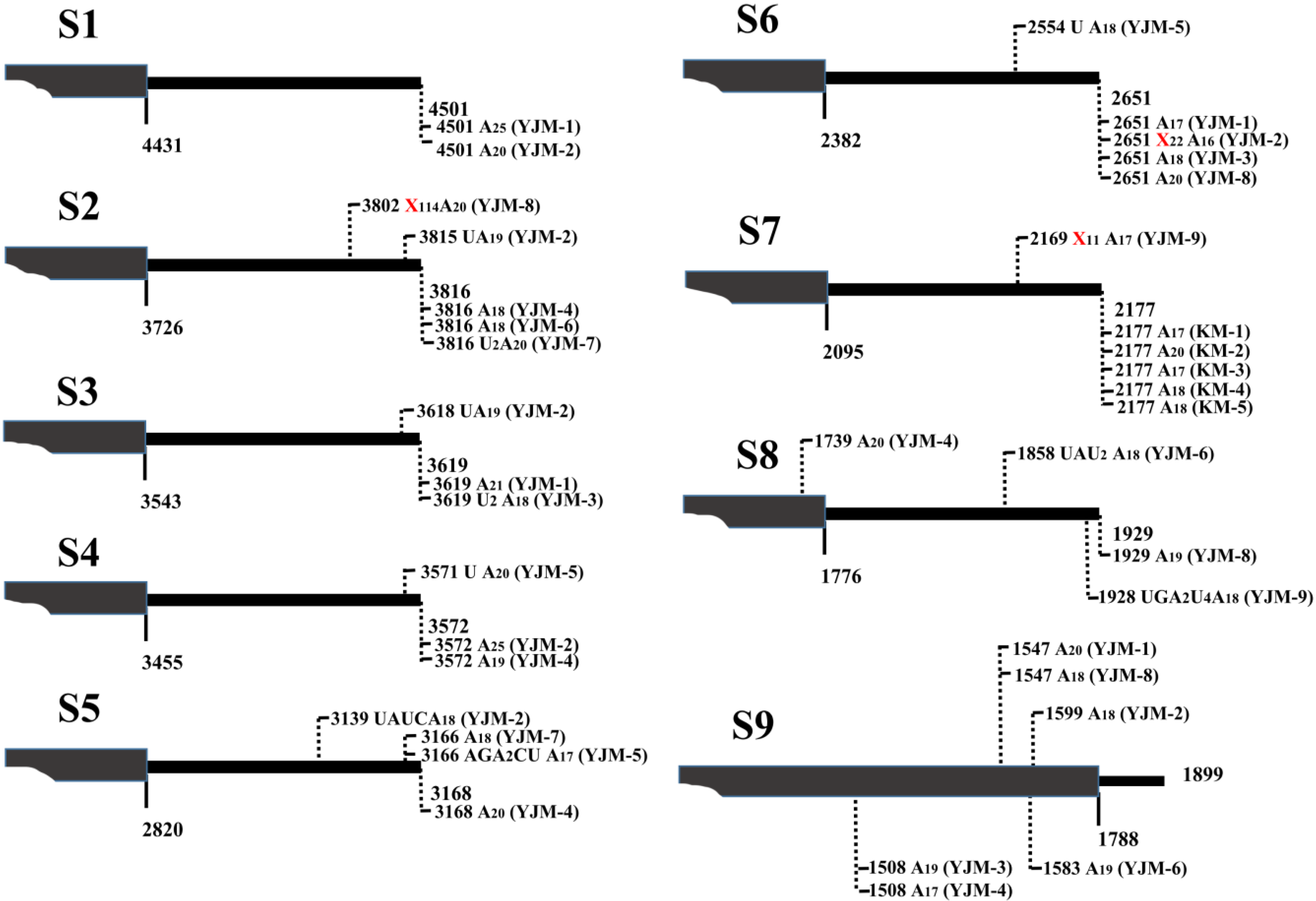Viruses 07 01642 g002