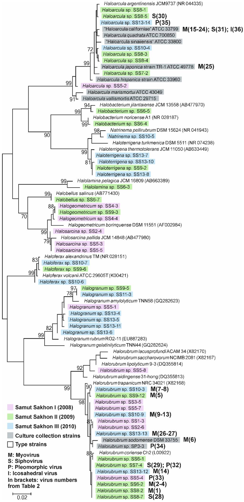 Viruses 07 01902 g001 1024
