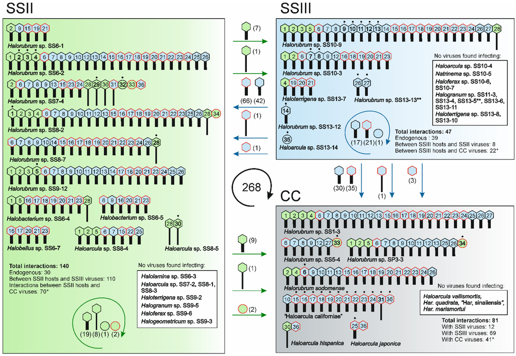 Viruses 07 01902 g004 1024