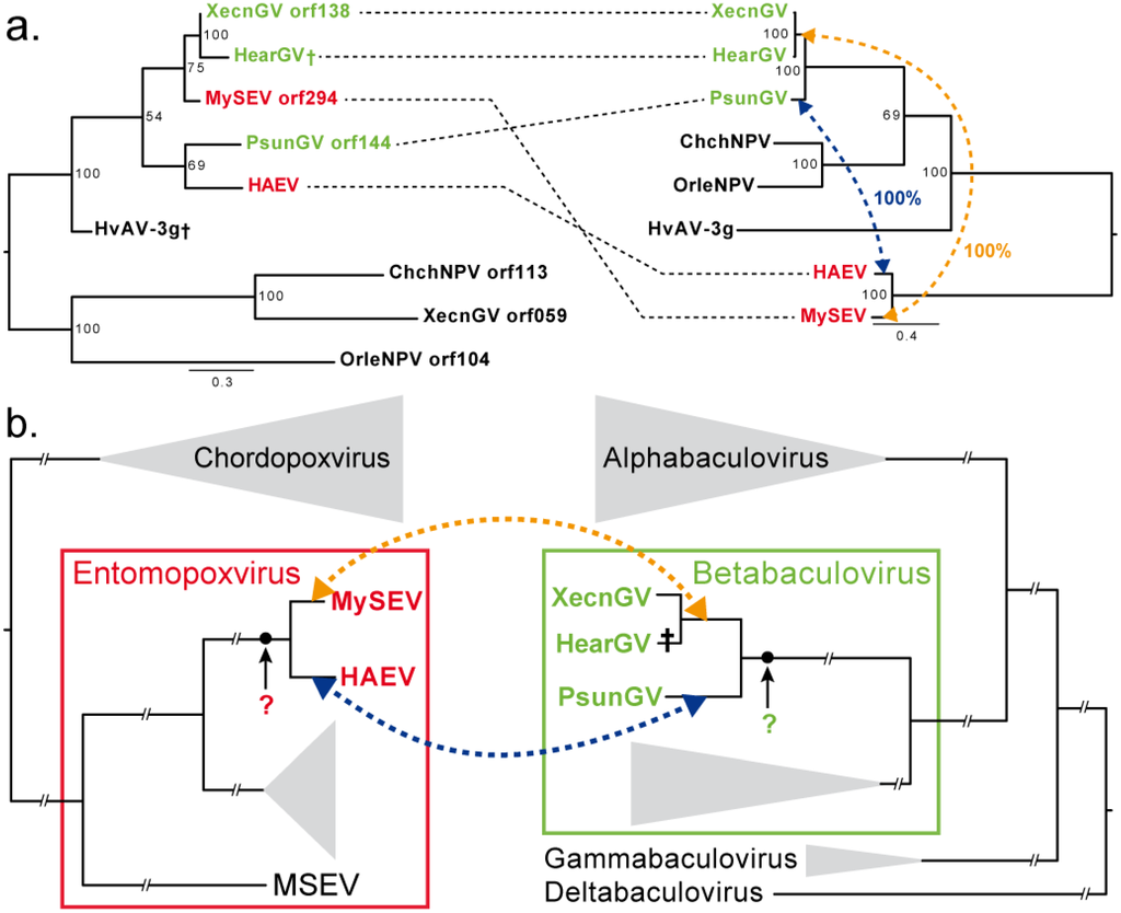 Viruses 07 01960 g001 1024