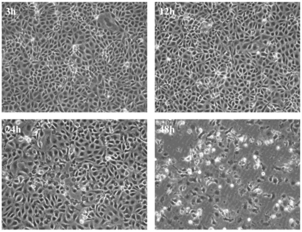 Viruses 07 01987 g001 1024