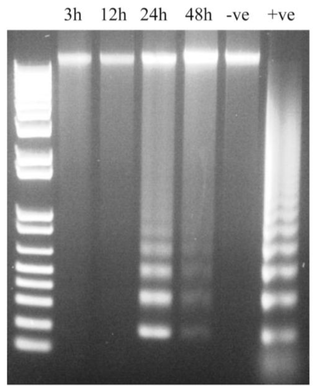 Viruses 07 01987 g006 1024