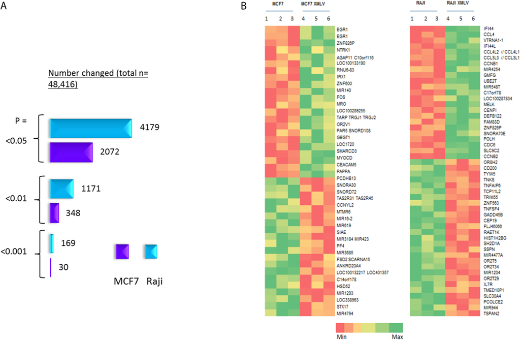 Viruses 07 02014 g004 1024
