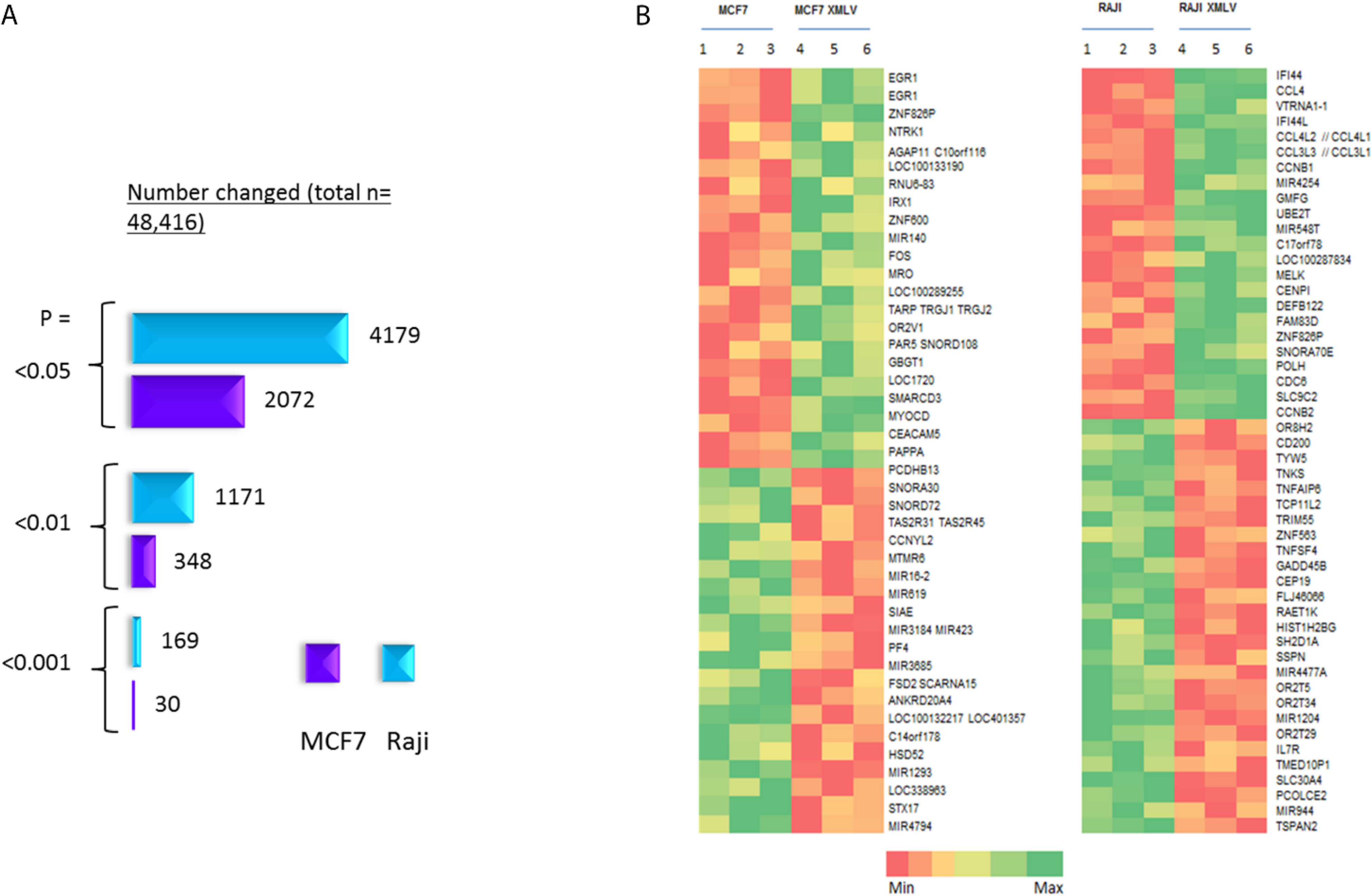 Viruses 07 02014 g004