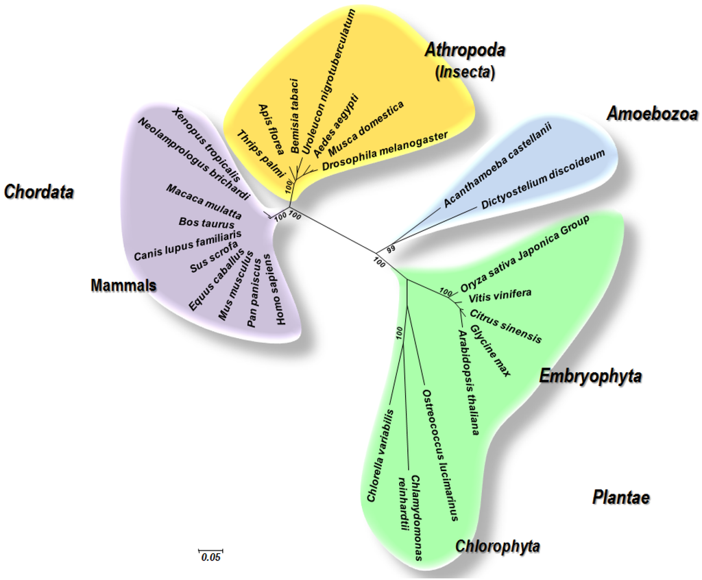 Viruses 07 02074 g002 1024