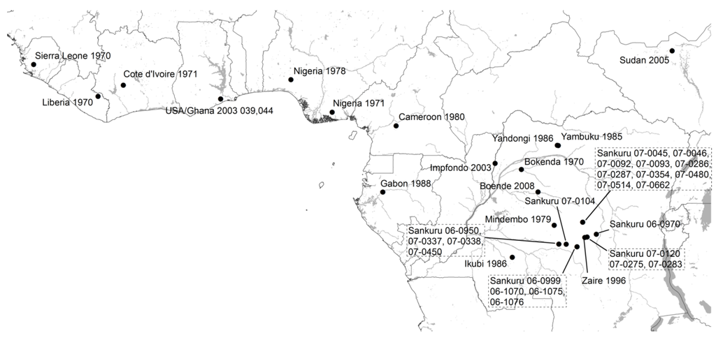 Viruses 07 02168 g001 1024