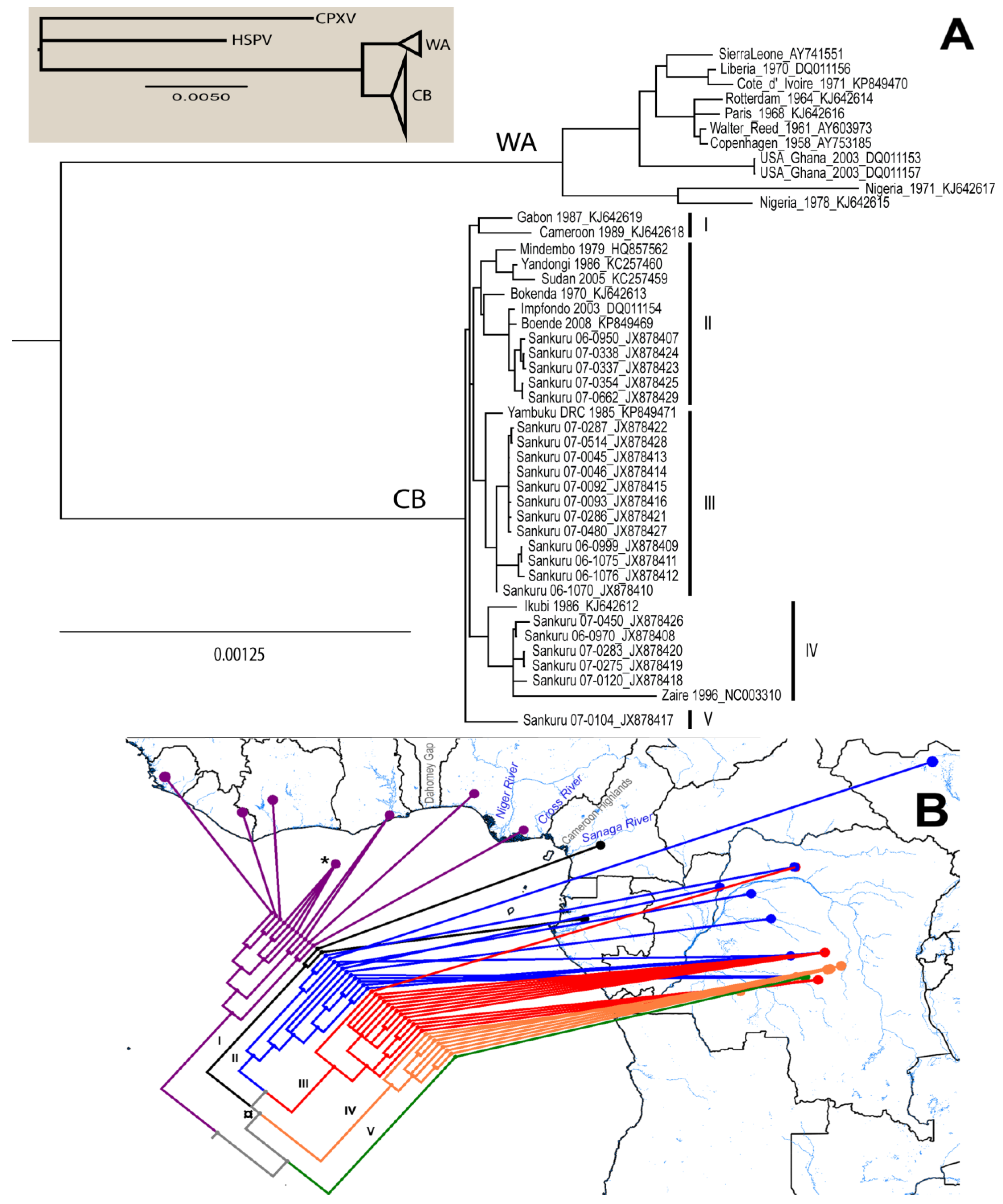Viruses 07 02168 g002
