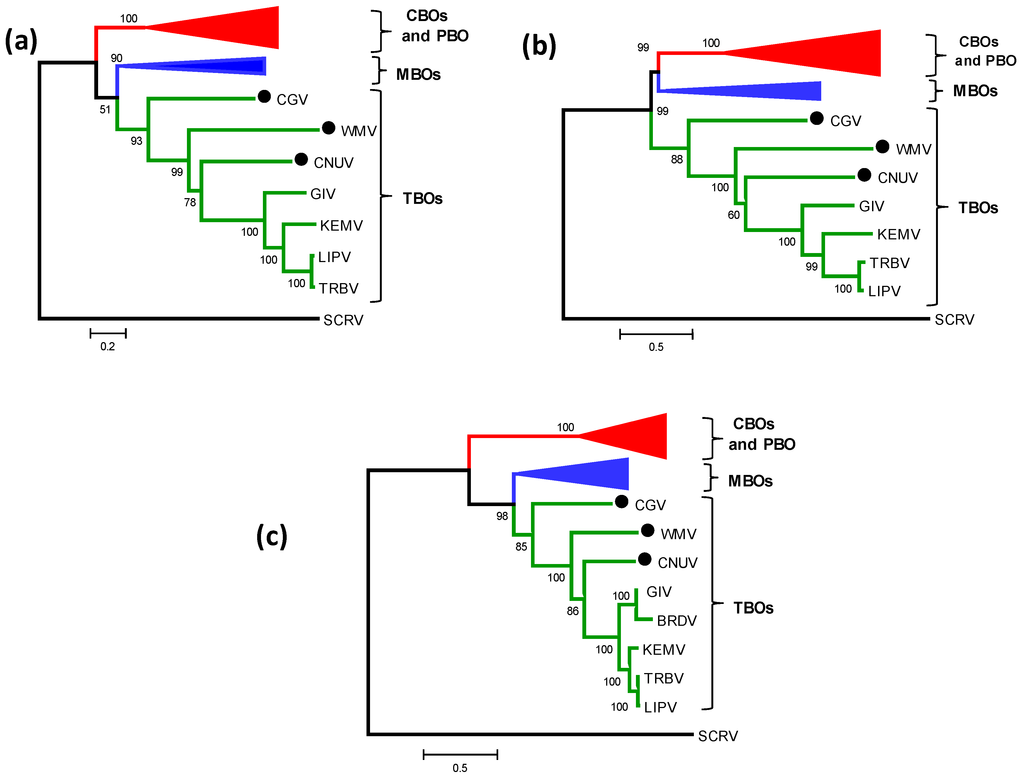 Viruses 07 02185 g002 1024