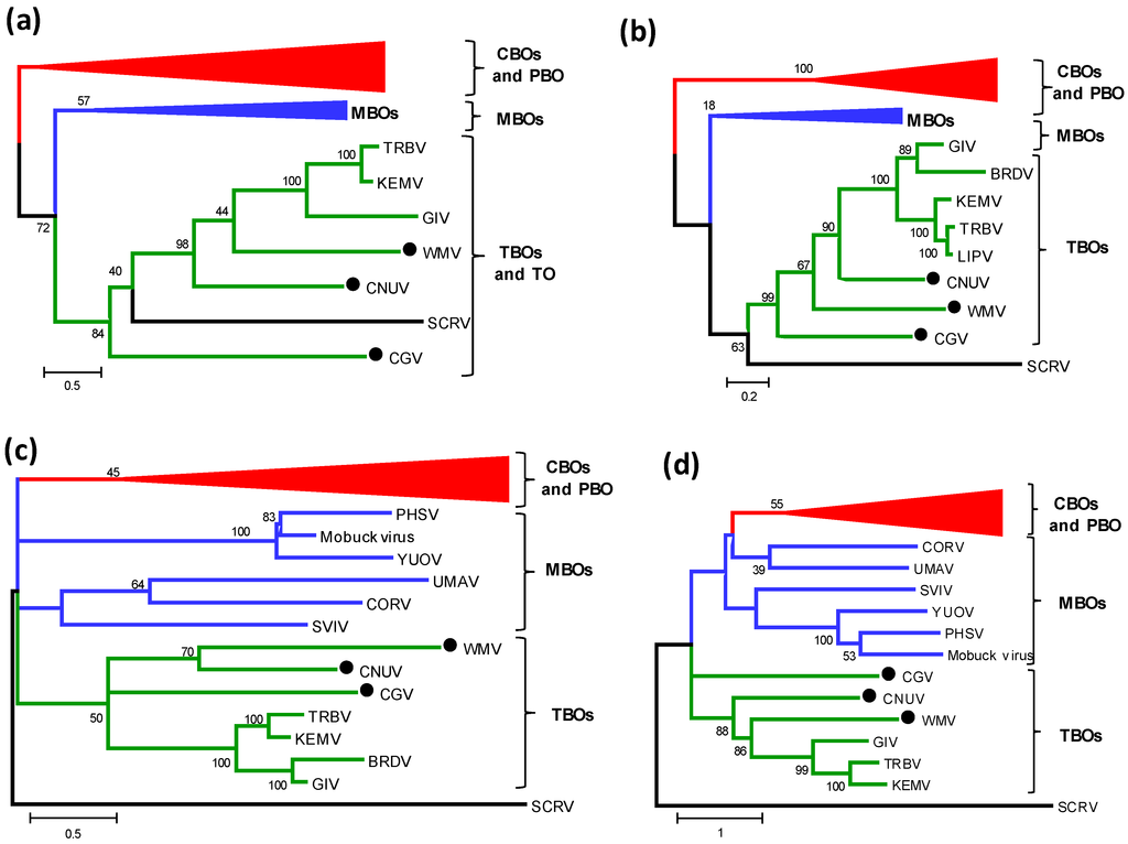 Viruses 07 02185 g003 1024