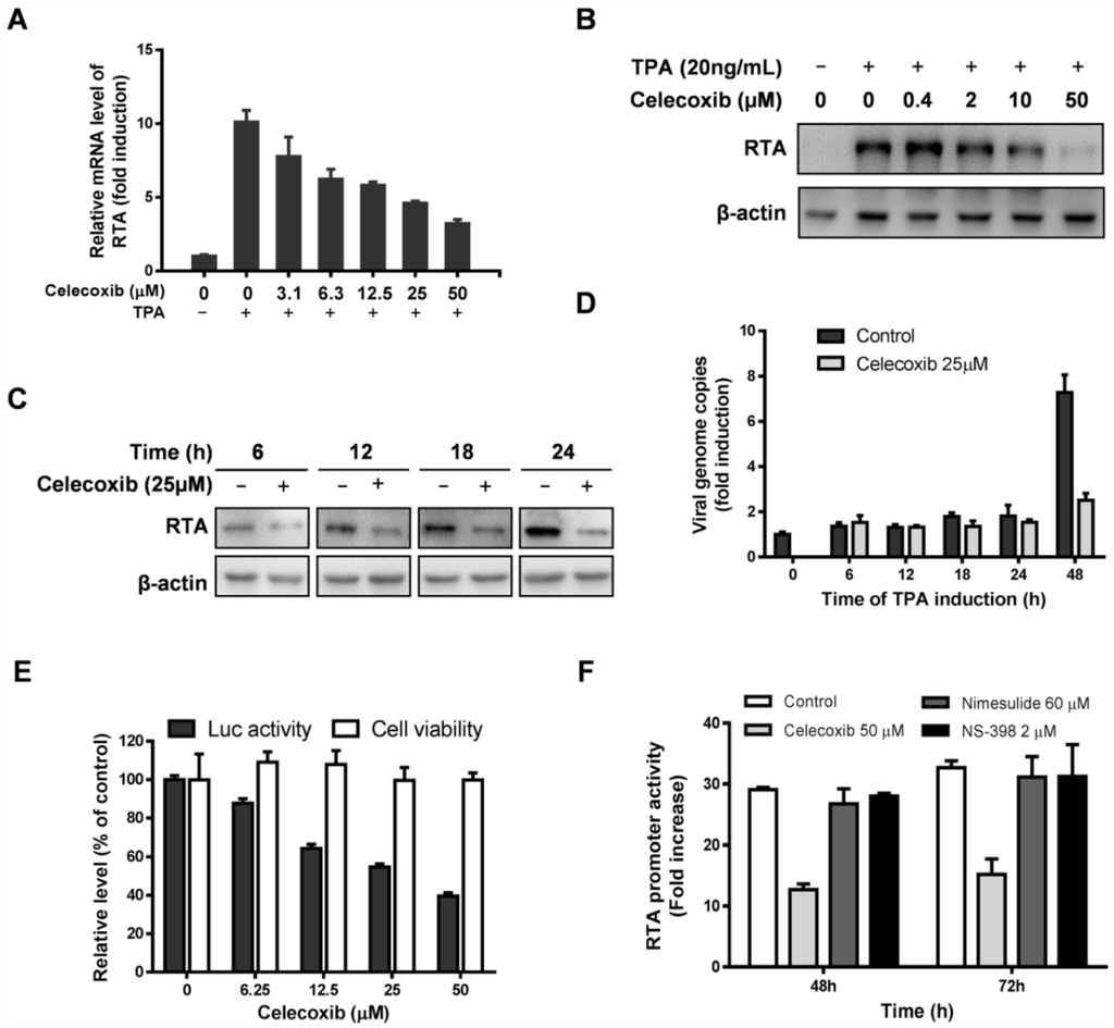 Viruses 07 02268 g005 1024