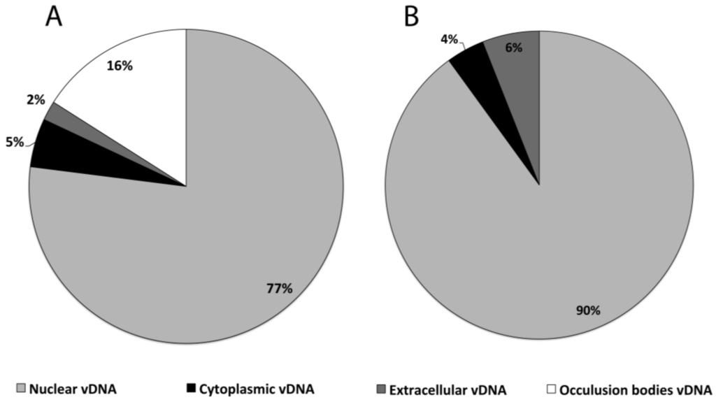 Viruses 07 02288 g004 1024
