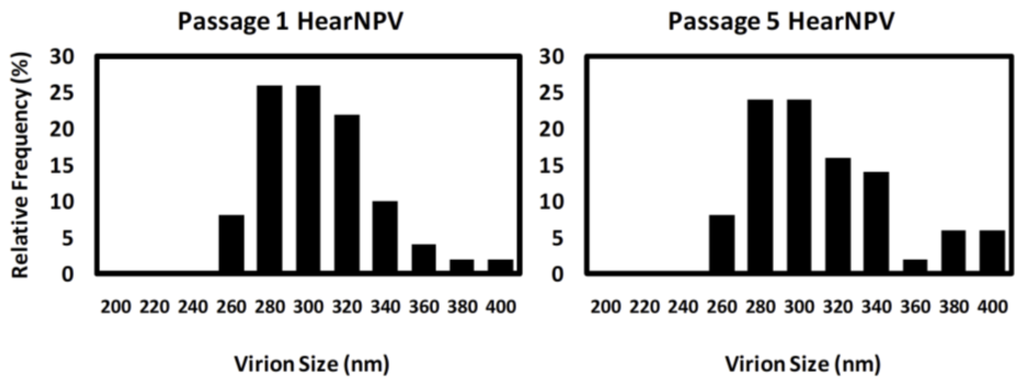 Viruses 07 02288 g006 1024