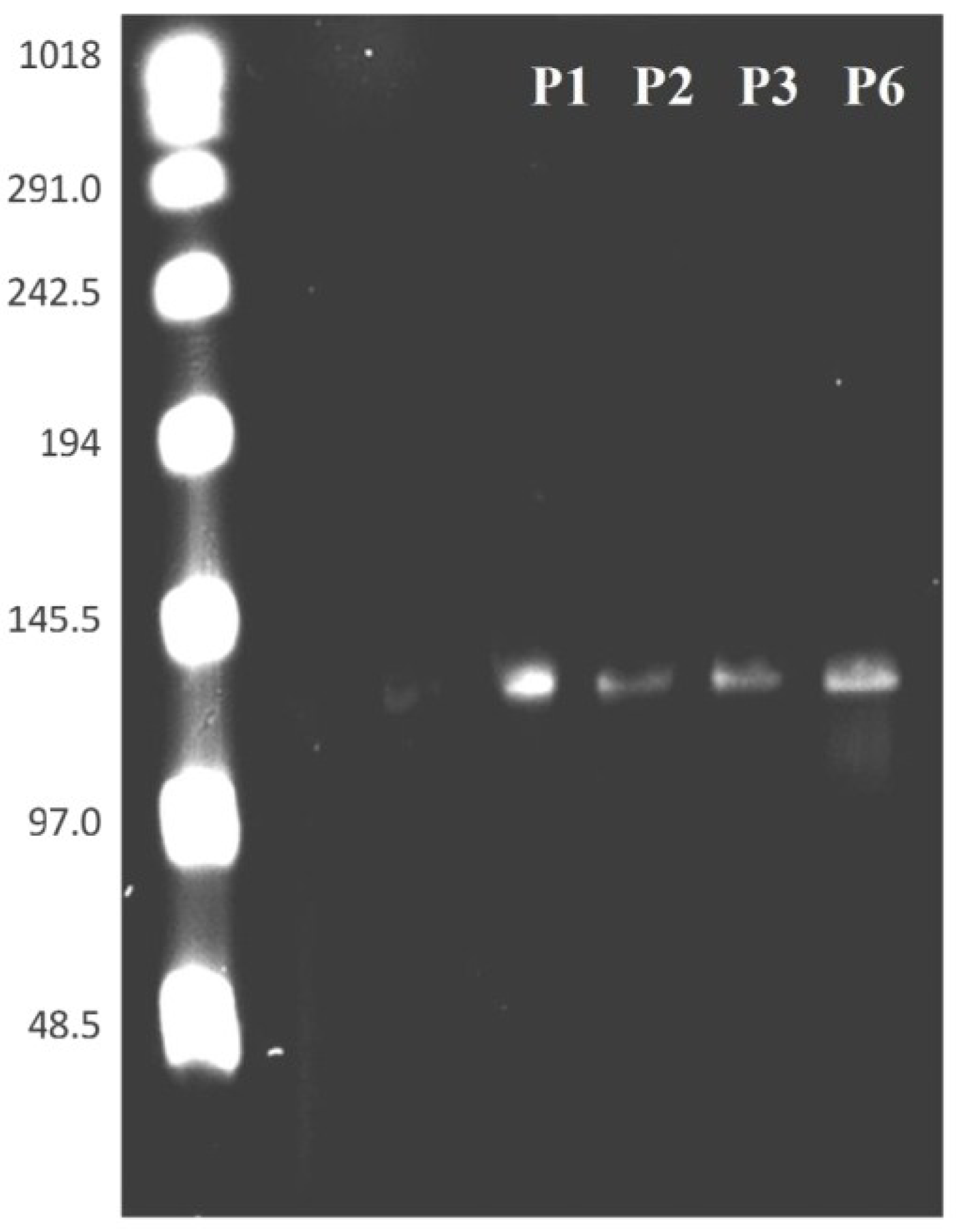 Viruses 07 02288 g007