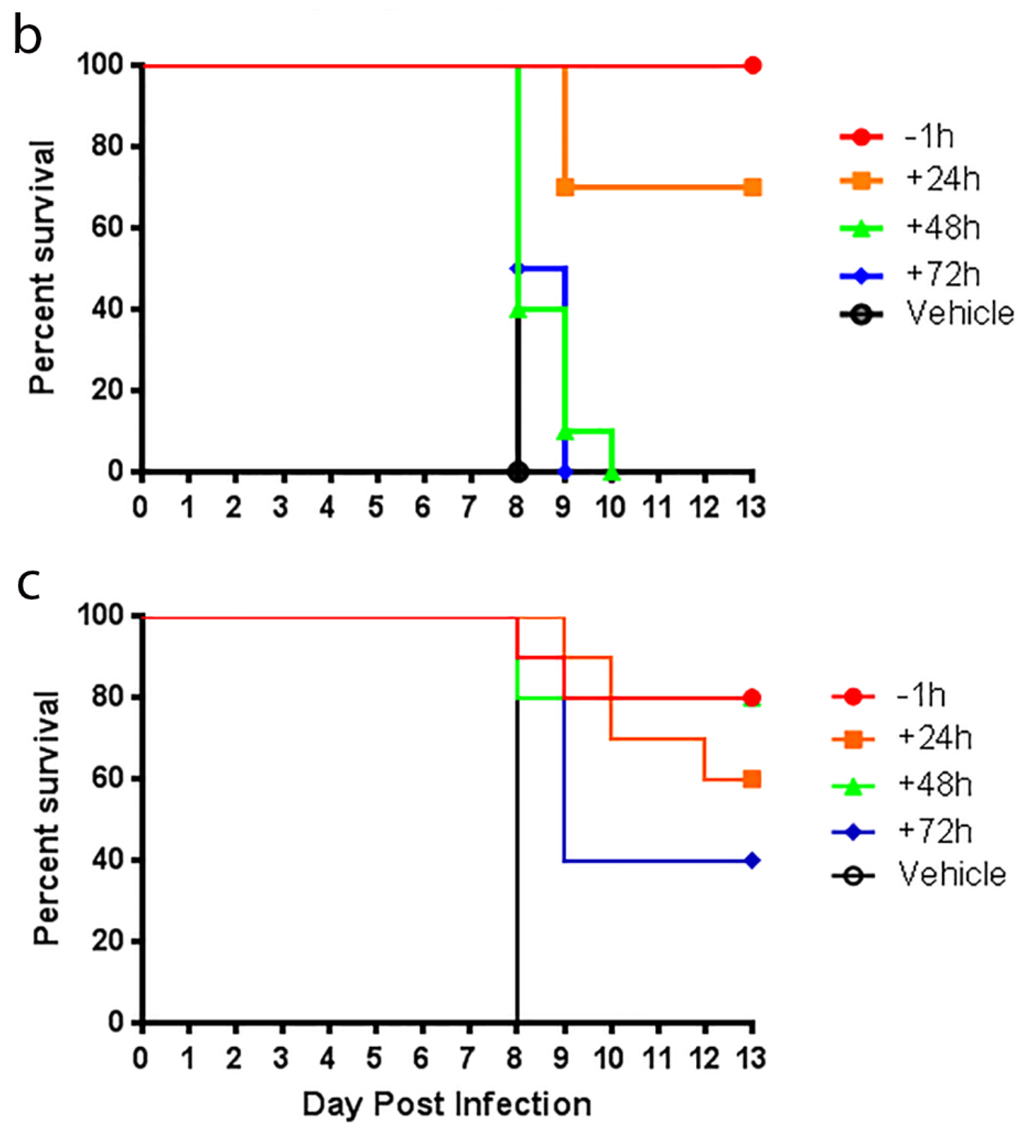 Viruses 07 02404 g003b 1024