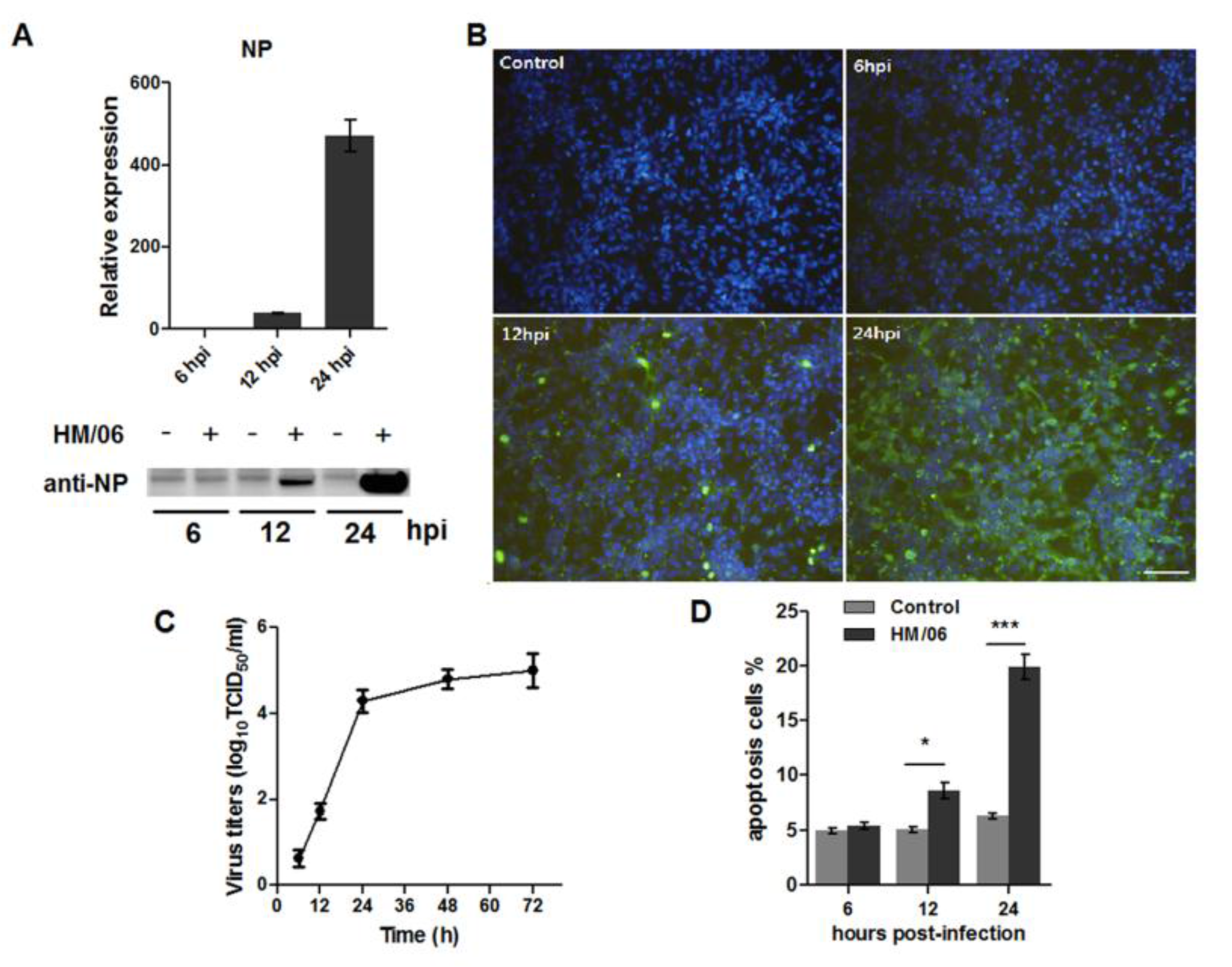 Viruses 07 02618 g001