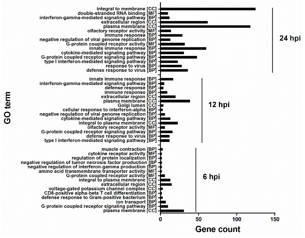 Viruses 07 02618 g004 1024