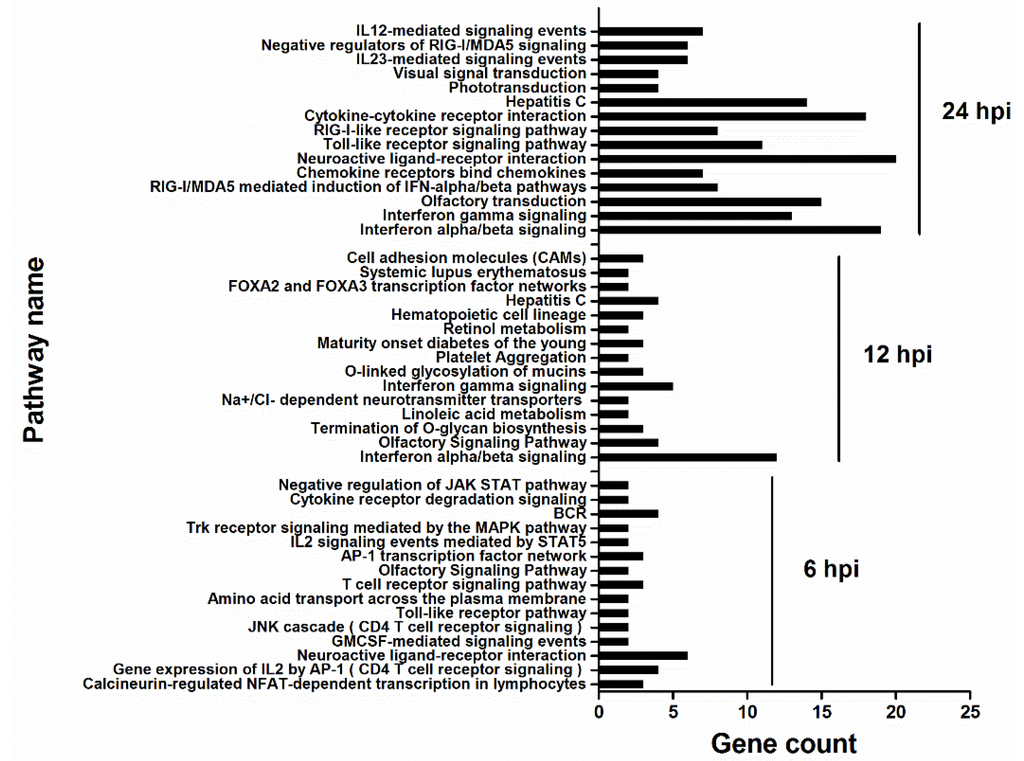 Viruses 07 02618 g005 1024