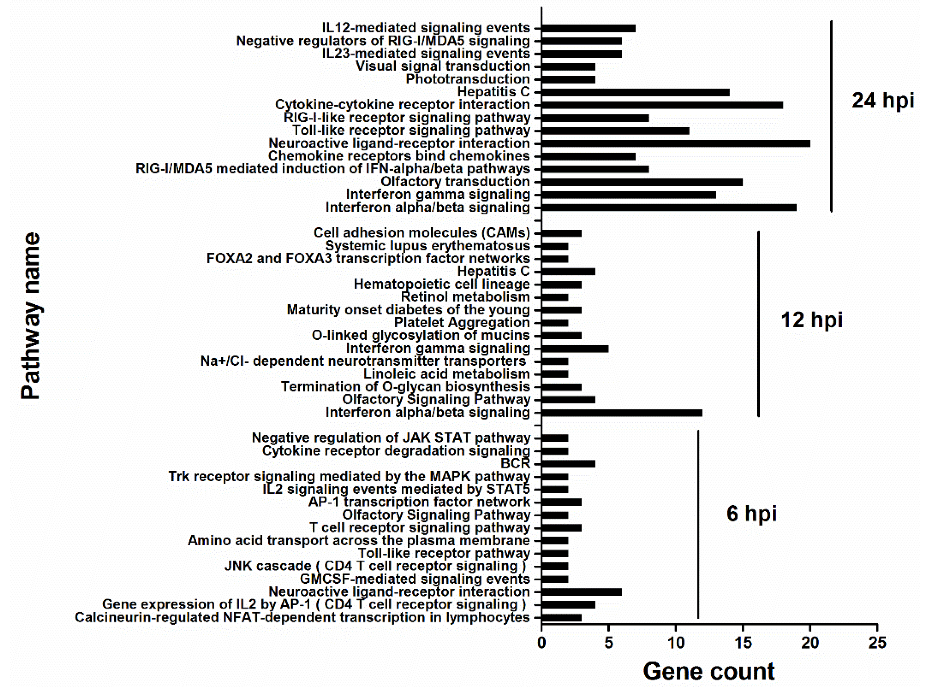 Viruses 07 02618 g005