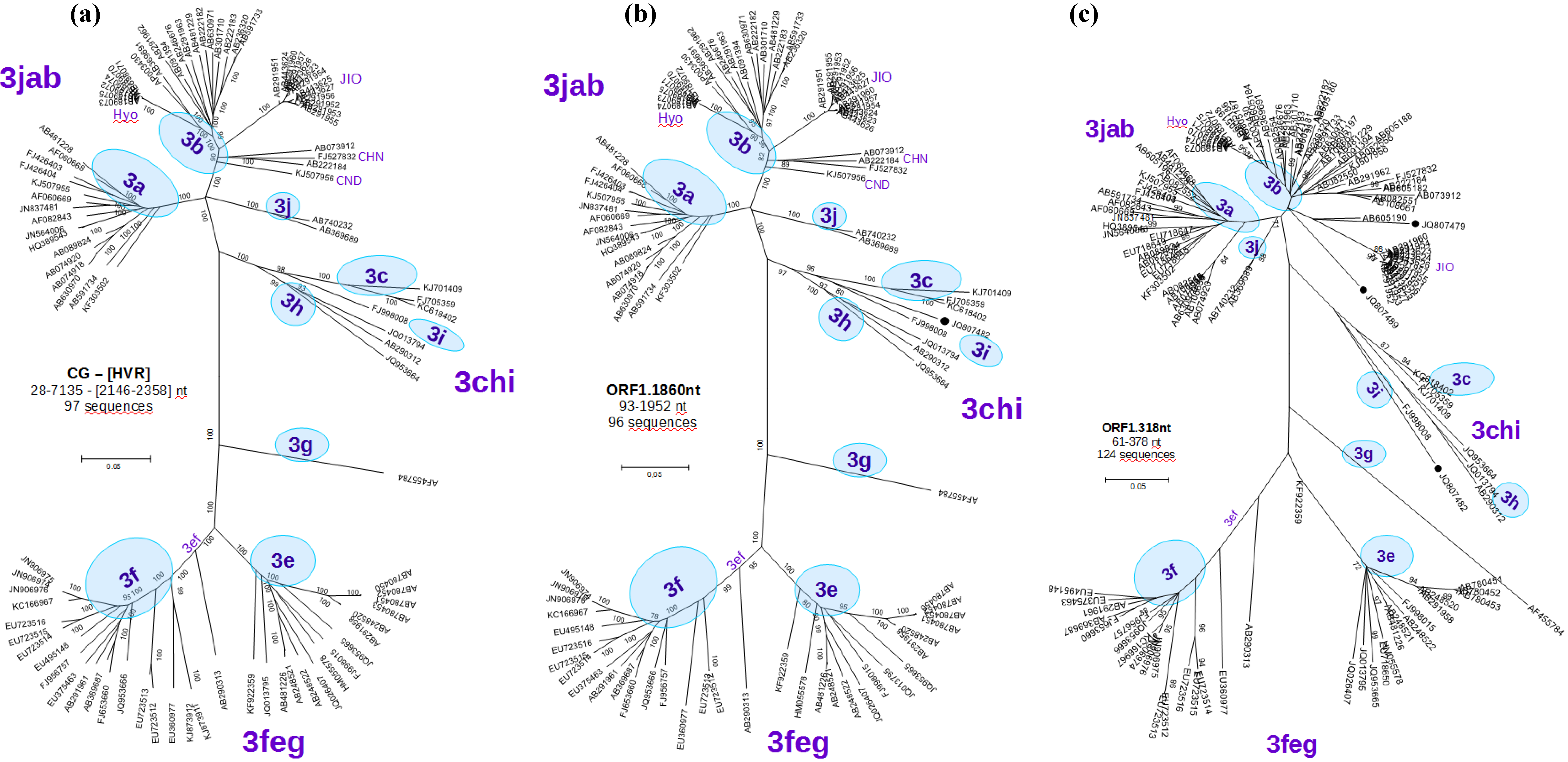Viruses 07 02704 g003