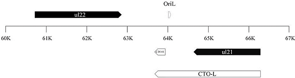 Viruses 07 02727 g001 1024